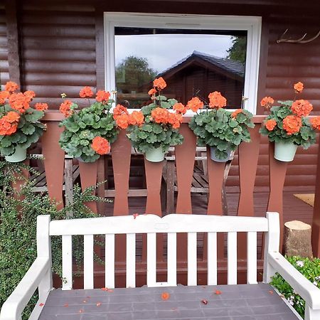 Ard Darach Lodge Данун Экстерьер фото
