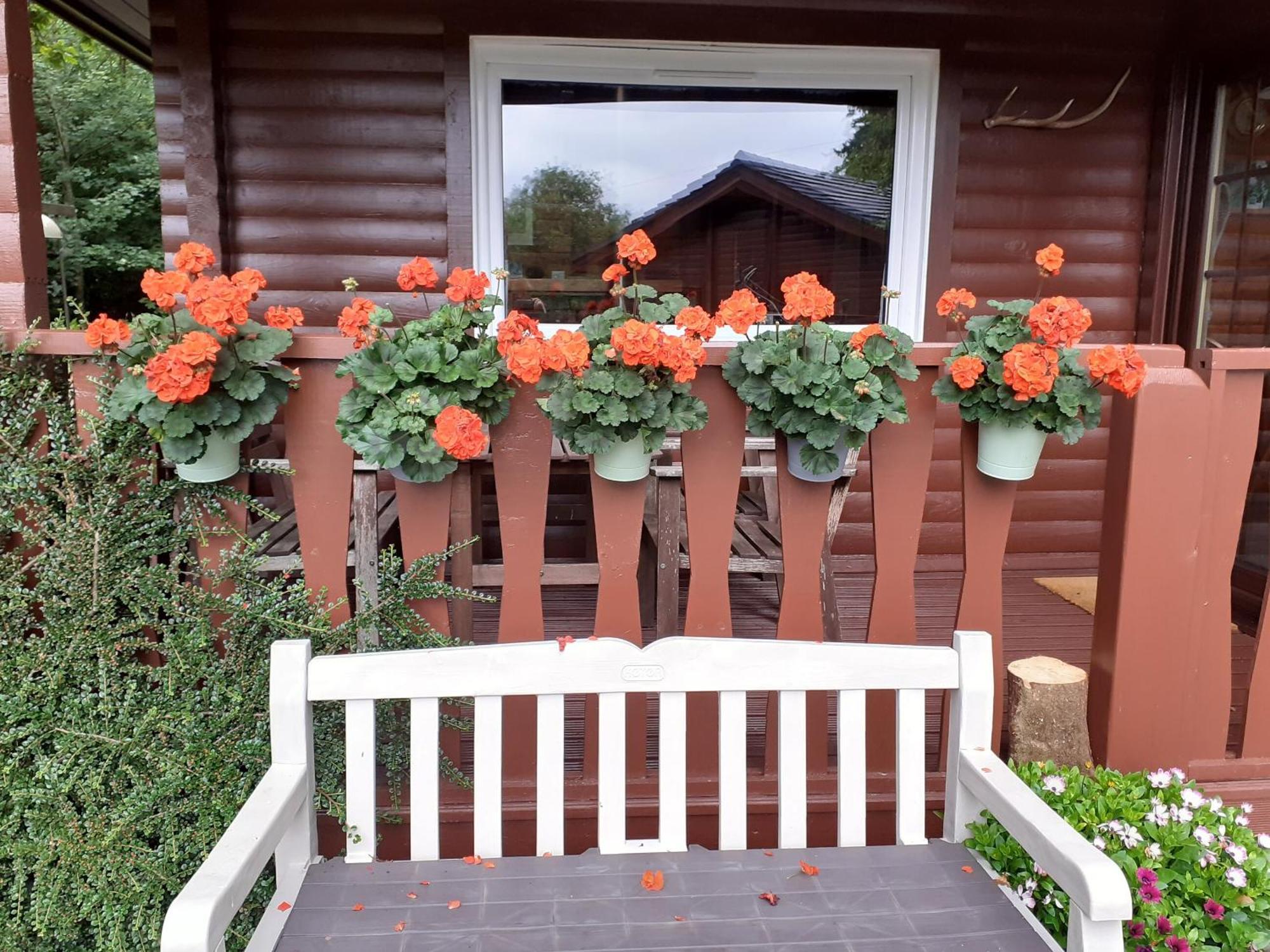 Ard Darach Lodge Данун Экстерьер фото
